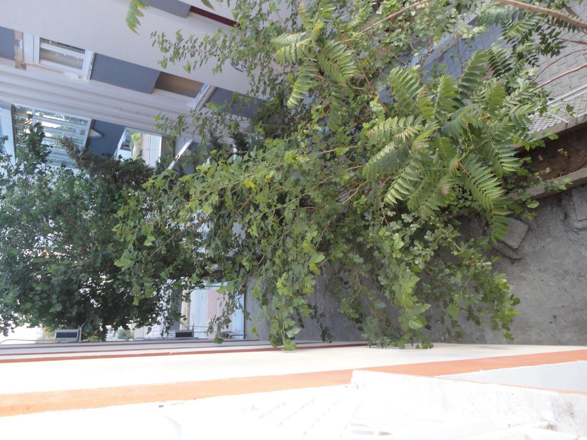 Nurella Pansiyon Antalya Exterior photo